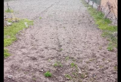 Proprietar de vânzare  60 000 euro - 1