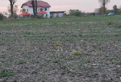 Teren intravilan la asfalt cu utilități și dublă deschidere 25x70.Drum principal Teren intravilan la asfalt cu utilități și dublă deschidere 25x70.Drum principal - 5