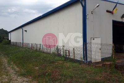 Hala industriala + teren Pausesti Valcea - 10
