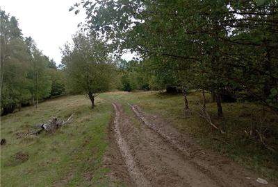 Teren de 16800 mp, în Central - 6