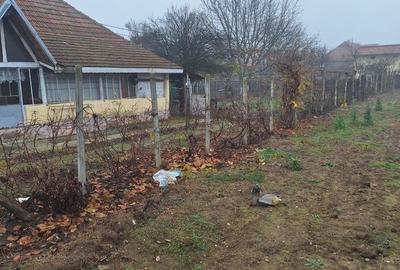 Casă cu 4 camere în Stroiești - 7