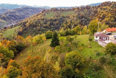 Film! Teren in peisaj mirific, Parcul Natural Piatra Craiului, Moieciu, Magura, - 10