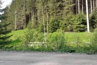 Teren de 2 mp, în Iedu