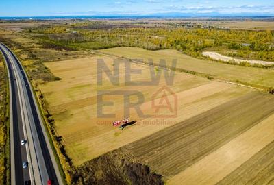 Terenuri industriale cu deschidere la A1, km 64 – Jugureni, Dambovita - 13