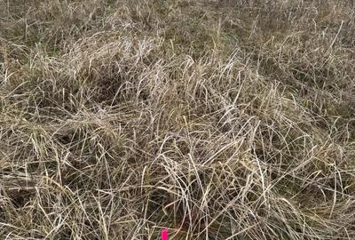 Teren de 665 mp, în Moșnița Nouă