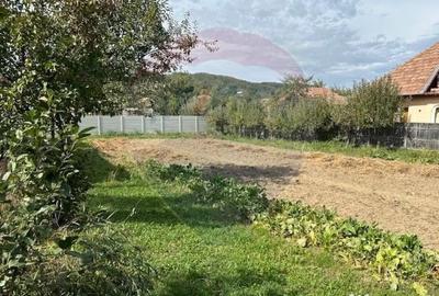 Casă cu 4 camere cu Teren 1828 Mp în Măneciu - 2