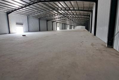 Hala 4200mp cu rampa in Afumati pentru depozitare Hala 4200mp cu rampa in Afumati pentru depozitare - 4