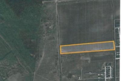 Teren Ostratu-Tamasi // OPORTUNITATE INVESTITII Teren Ostratu-Tamasi // OPORTUNITATE INVESTITII - 23