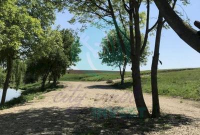 Teren Construcții intravilan de 655 mp, în Moara Domnească - 4