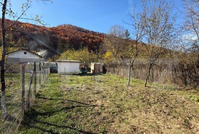 Teren intravilan 1500 mp, ideal pentru casa Iedera - 2