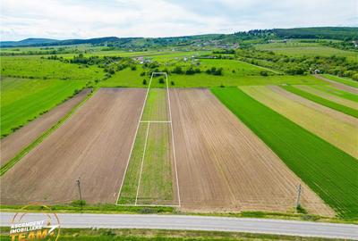 FILM! Teren intravilan industial, cu PUZ si acces la DJ112, - 1