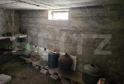 Casa de vanzare, 37 mp utili/nivel, teren 500 mp, zona Berc - 13