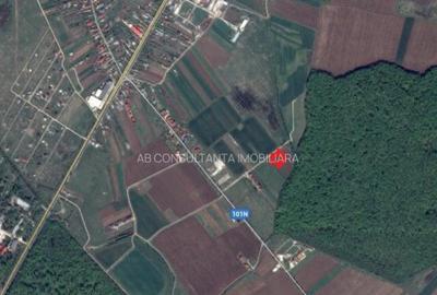 OCAZIE!!! Teren lipit de padure cu acces foarte facil la DN1 - 1