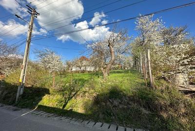Teren de 430 mp, în Sibiel - 5
