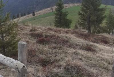 Teren de vanzare ideal pentru cabana in Maguri Racatau - 3