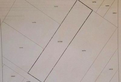 Teren de 750 mp, în Viile Noi - 4