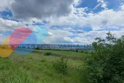 Teren extravilan , 637mp, Lomb - 4