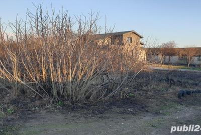 Teren de 1500 mp, în Cumpăna - 1