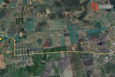 COMISION 0% Teren Extravilan Agricol, Beregsau Mare - Zona in dezvoltare - 5
