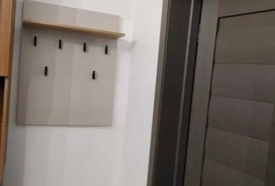 Apartament cu 1 camera in Podul de Piatra - 7