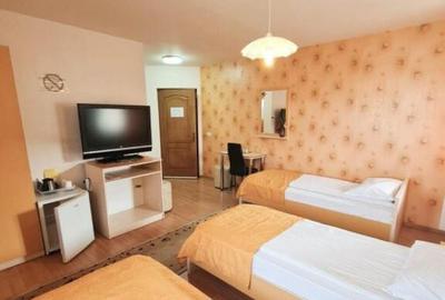 Afacere la cheie! Pensiune de 722 mp, cu 800 mp de teren, Fl - 12