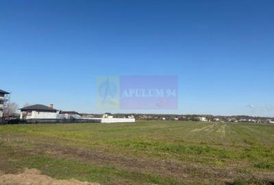Teren de 4000 mp, în Ordoreanu - 1
