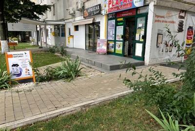 Spațiu comercial, de 35 mp, în Podu Roș - 1
