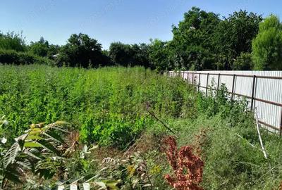 Spațiu comercial, în Movilița - 12