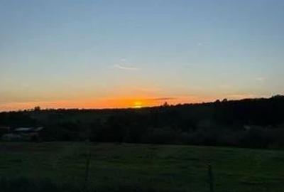 Teren de 6000 mp, în Sălciua Nouă - 2