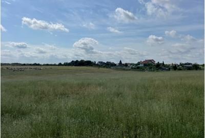 Teren Construcții intravilan de 906 mp, în Sânleani - 7