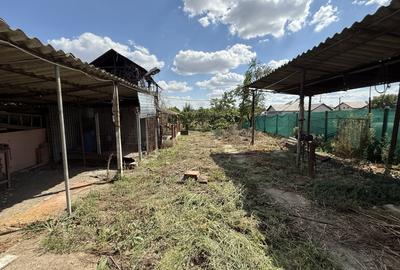 Casa individuala 2 camere, 80mp utili, 997 teren in Utvin - 18