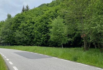 Teren intravilan Zarne?ti Plaiul Foii peisaj deosebit 2750mp