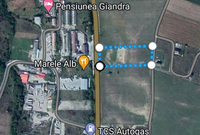 Teren de 11300 mp, în Copăceni - 1
