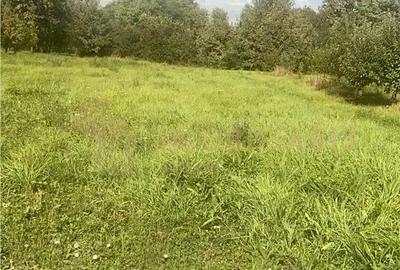 Teren de 8000 mp, în Ardusat - 1