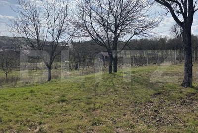 Spațiu comercial, în Central - 3