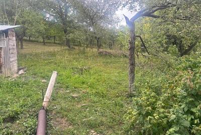 Casa, 4 camere, 125000 euro, Nehoiu , 120 Mp, 2000 mp teren. - 18