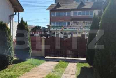 Oportunitate Unica Vila de Vis in Zona Centrala si doua spatii comerciale - 10