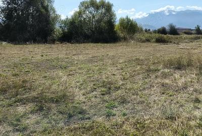 Teren de 7500 mp, în Vulcan - 1