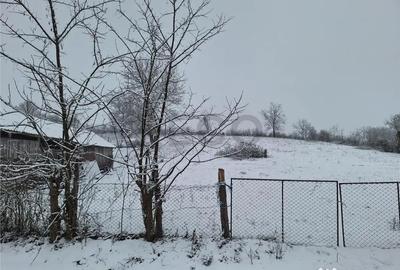 Casă cu 4 camere cu Teren 11000 Mp în Uileacu de Beiuș - 6