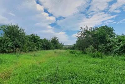 Casă cu 7 camere cu Teren 2500 Mp în Brateiu - 4