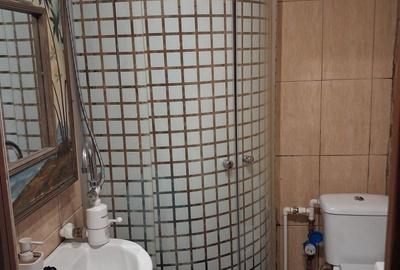 Apartament nedecomandat în Central - 5