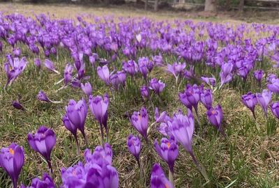 Casă cu 4 camere în Șugag - 5