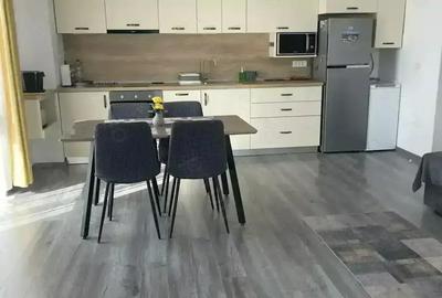 Afacere func?ionala - ap 2 camere regim hotelier Baile Felix
