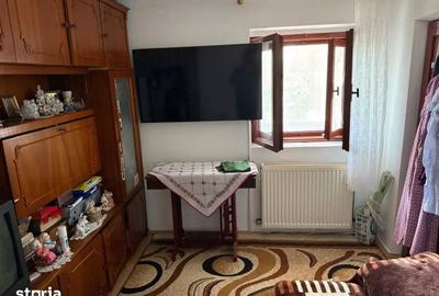 Casă cu 3 camere cu Teren 4000 Mp în Letca Nouă - 14