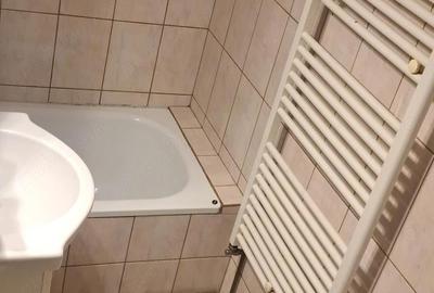 Garsonieră decomandată în Badea Cârțan - 1