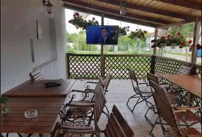 Spațiu comercial, de 130 mp, în Buziaș - 4