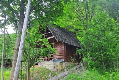 Cabana Bradulet s-a VANDUT - 3