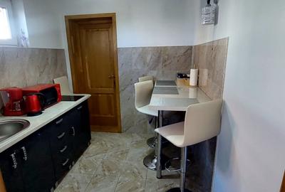 Casa  132mp utili si curte ,spre inchiriere  in zona Parcul SubArini - 19