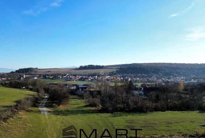 Teren extravilan 650mp Rusciori - 3