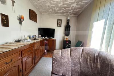 Casa saseasca de vanzare, curte, gradina, teren 3000 mp - Ji - 22